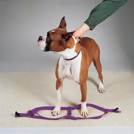 PARTY ANIMAL 9-15 in. Nylon 2 Step Dog Harness, Purple PA1666883